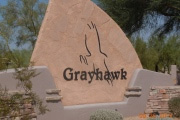 grayhawk